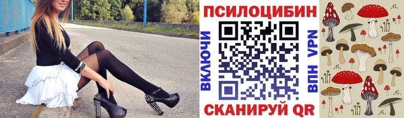 Купить  Пустошка  Псилоцибиновые грибы Cubensis 